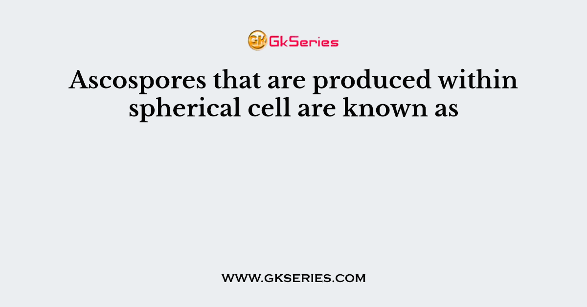 Ascospores that are produced within spherical cell are known as