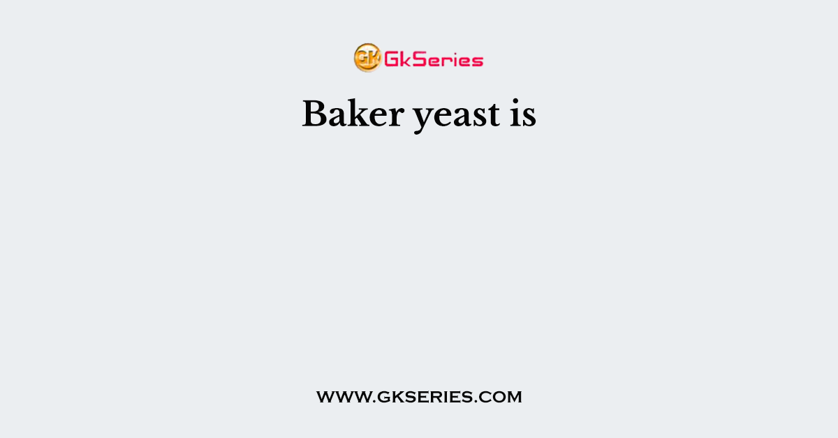 Baker yeast is