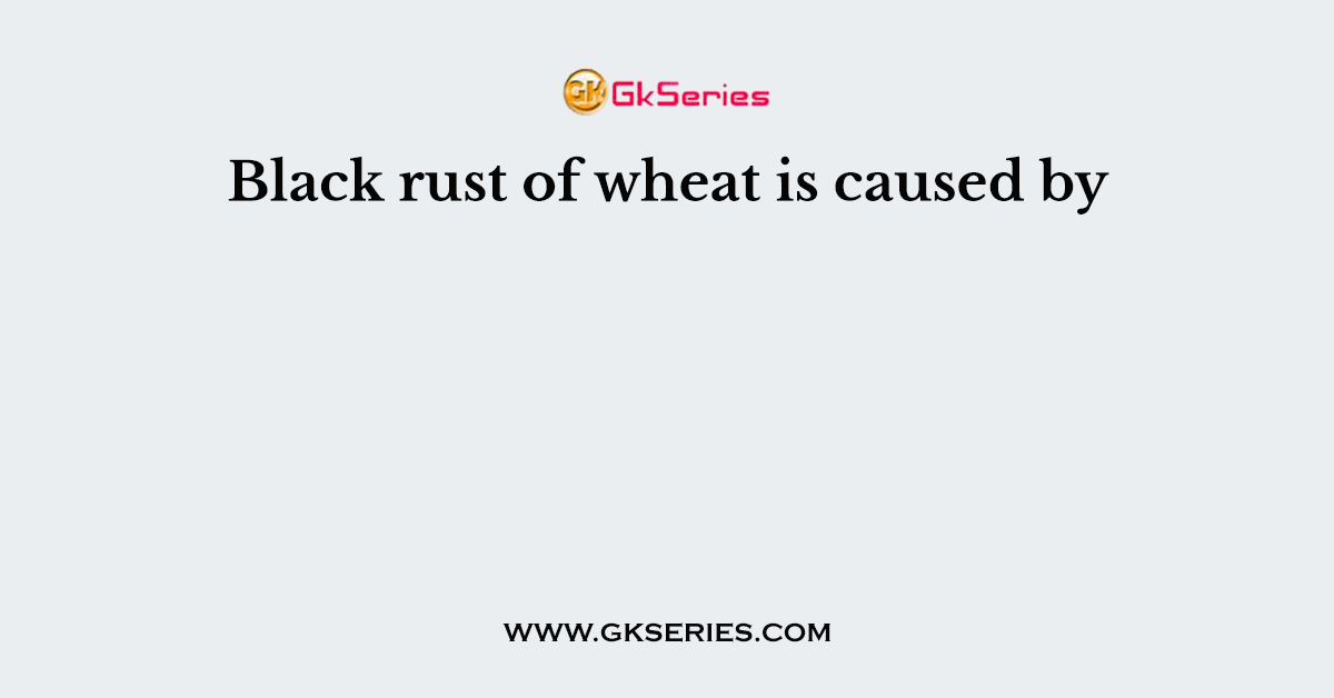 Black rust of wheat is caused by
