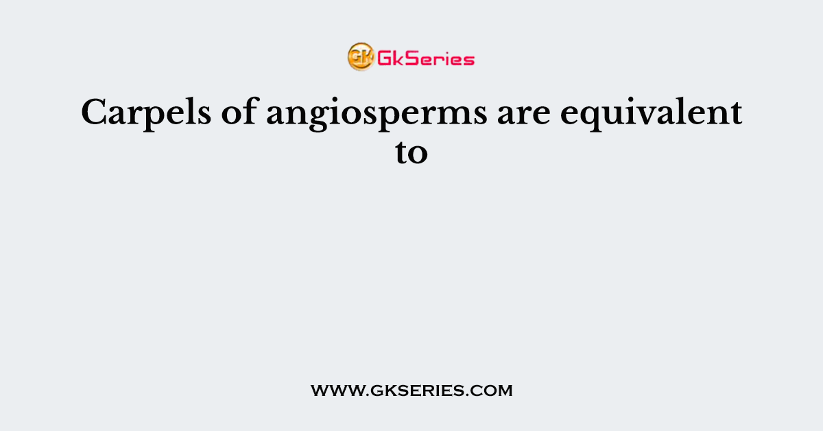 Carpels of angiosperms are equivalent to