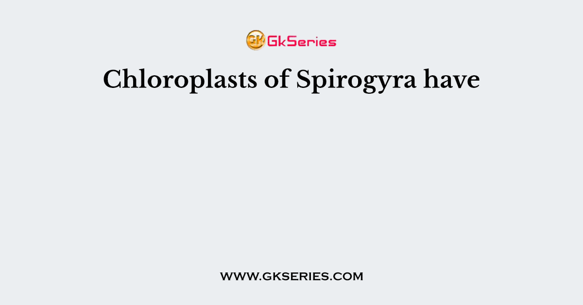 Chloroplasts of Spirogyra have