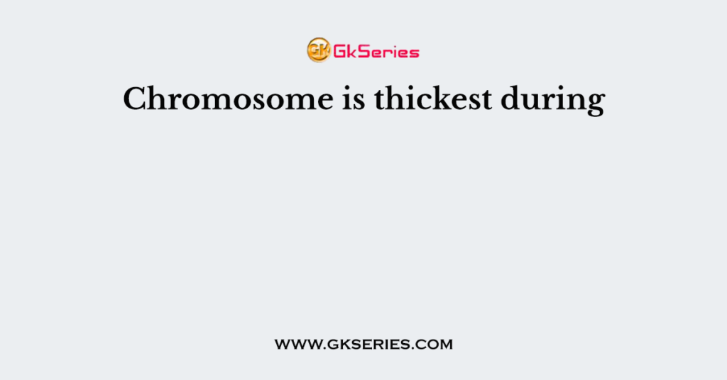 Chromosome is thickest during