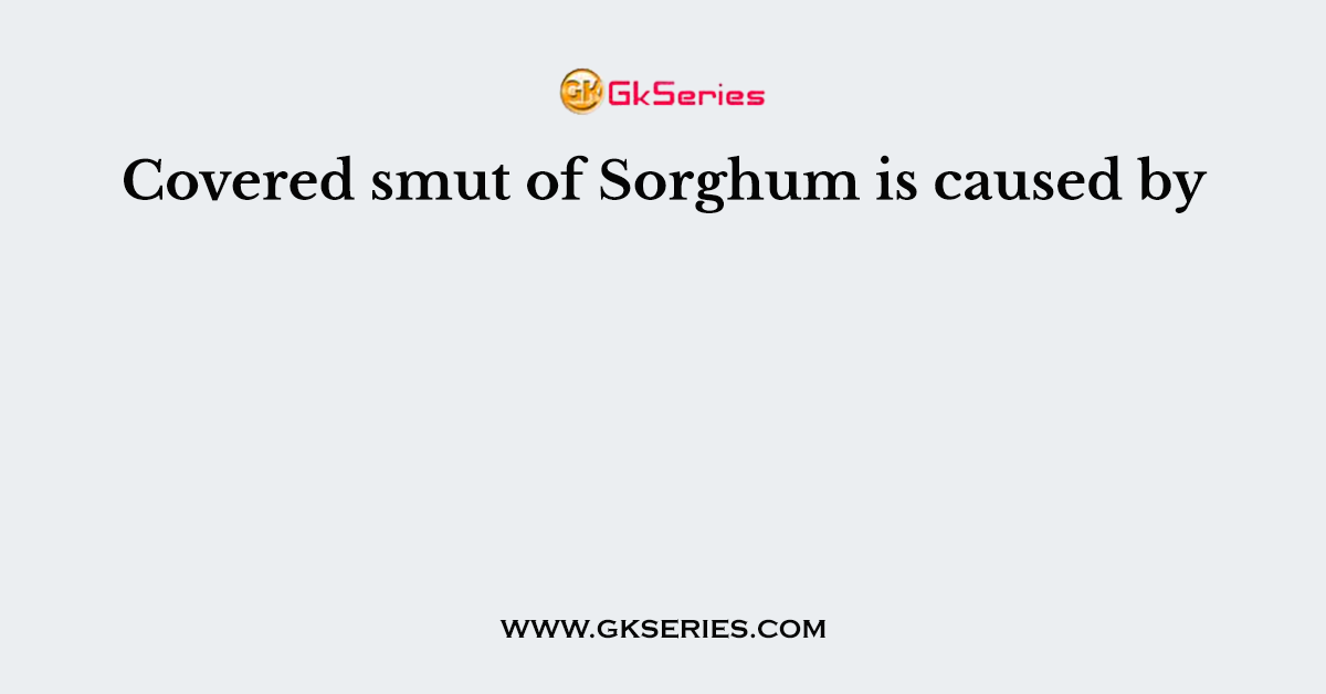 Covered smut of Sorghum is caused by