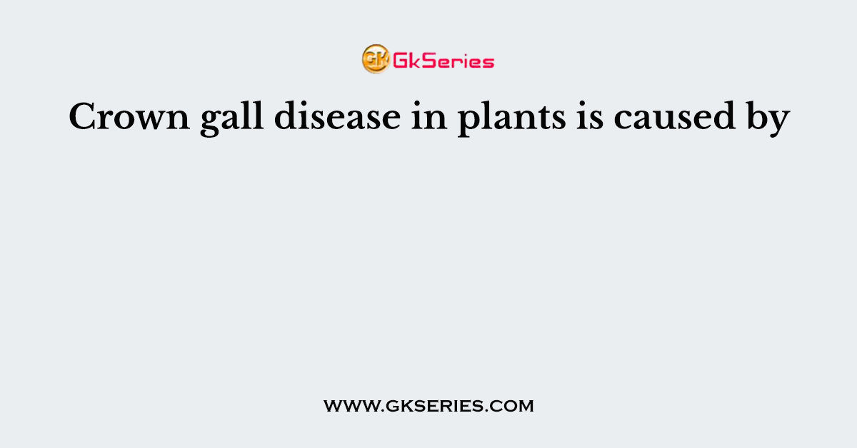 Crown gall disease in plants is caused by