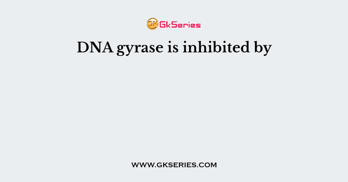 DNA gyrase is inhibited by