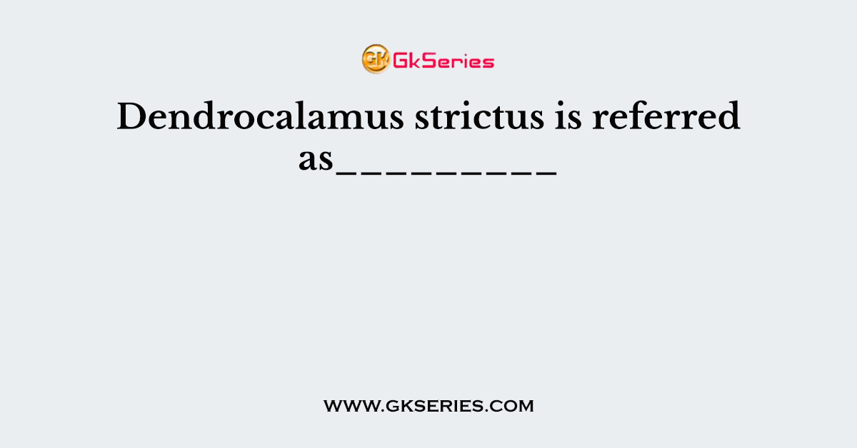 Dendrocalamus strictus is referred as_________