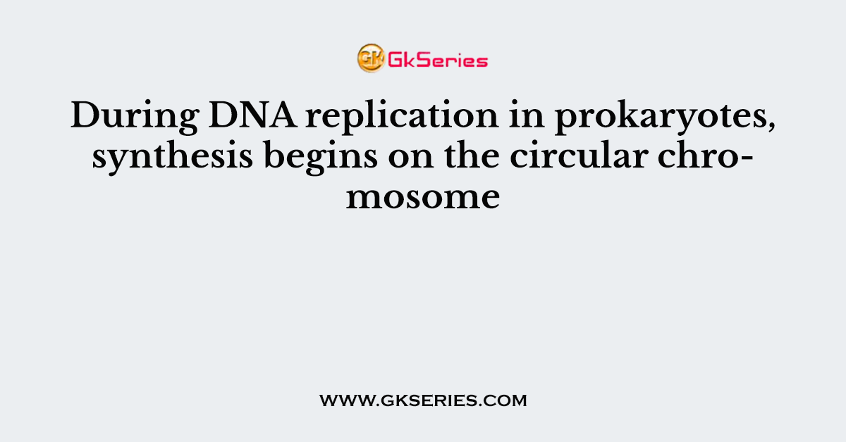 During DNA replication in prokaryotes, synthesis begins on the circular chromosome