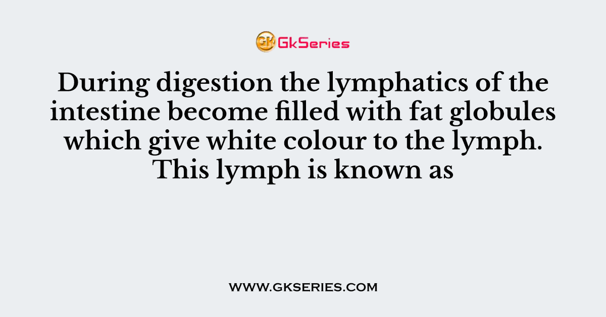 During digestion the lymphatics of the intestine become filled with fat globules which give white colour to the lymph. This lymph is known as