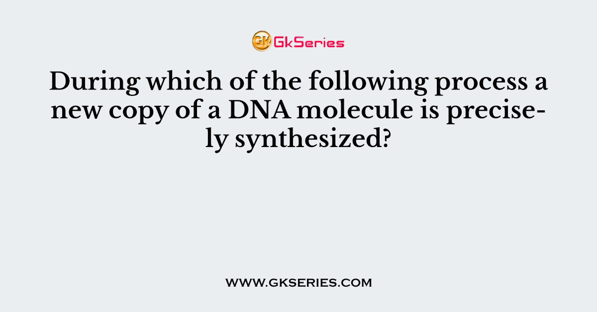 During which of the following process a new copy of a DNA molecule is precisely synthesized?
