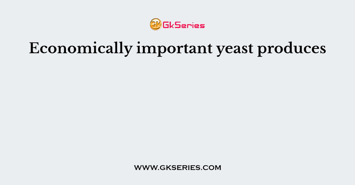 Economically important yeast produces