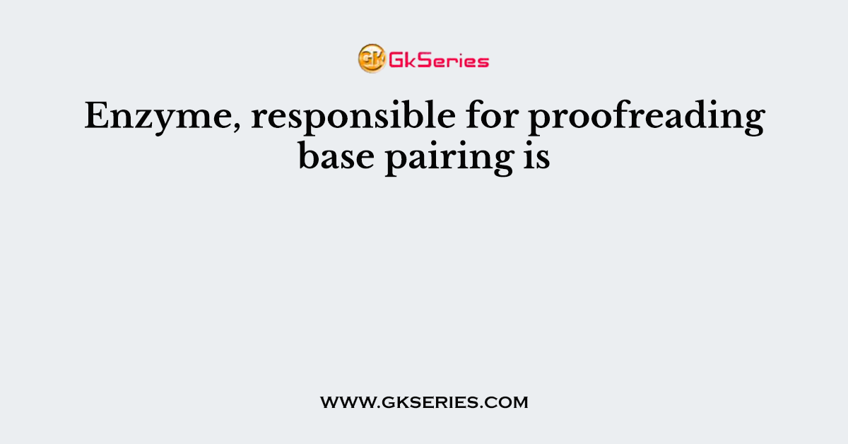 Enzyme, responsible for proofreading base pairing is