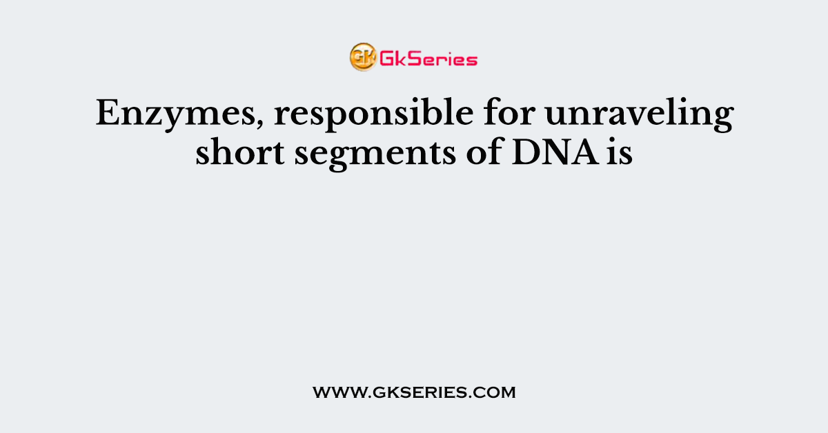 Enzymes, responsible for unraveling short segments of DNA is