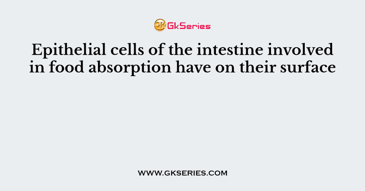 Epithelial cells of the intestine involved in food absorption have on their surface
