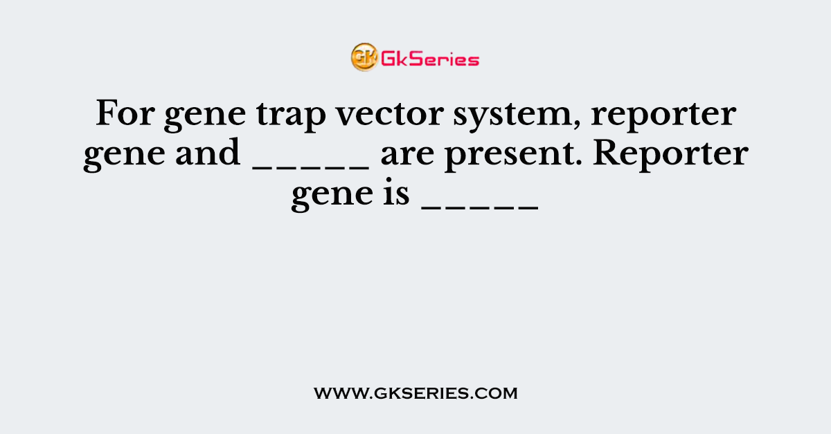 For gene trap vector system, reporter gene and _____ are present. Reporter gene is _____