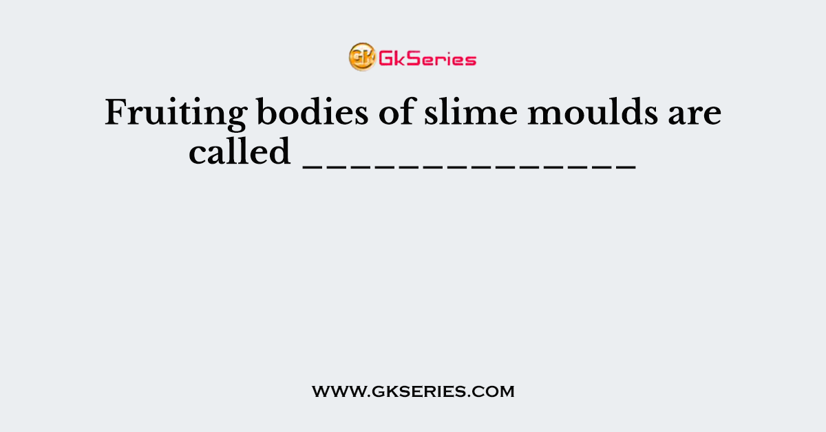 Fruiting bodies of slime moulds are called ______________