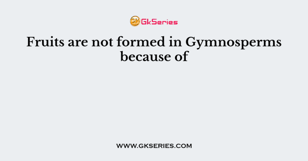 Fruits are not formed in Gymnosperms because of