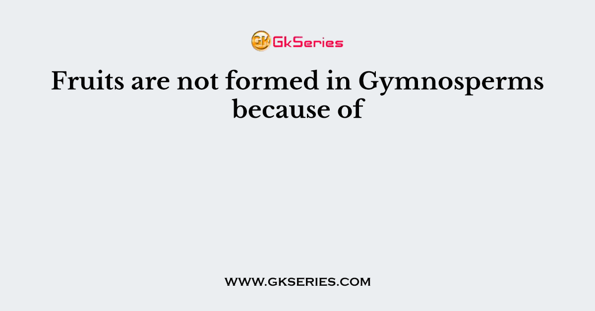 Fruits are not formed in Gymnosperms because of