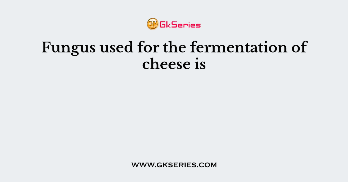 Fungus used for the fermentation of cheese is