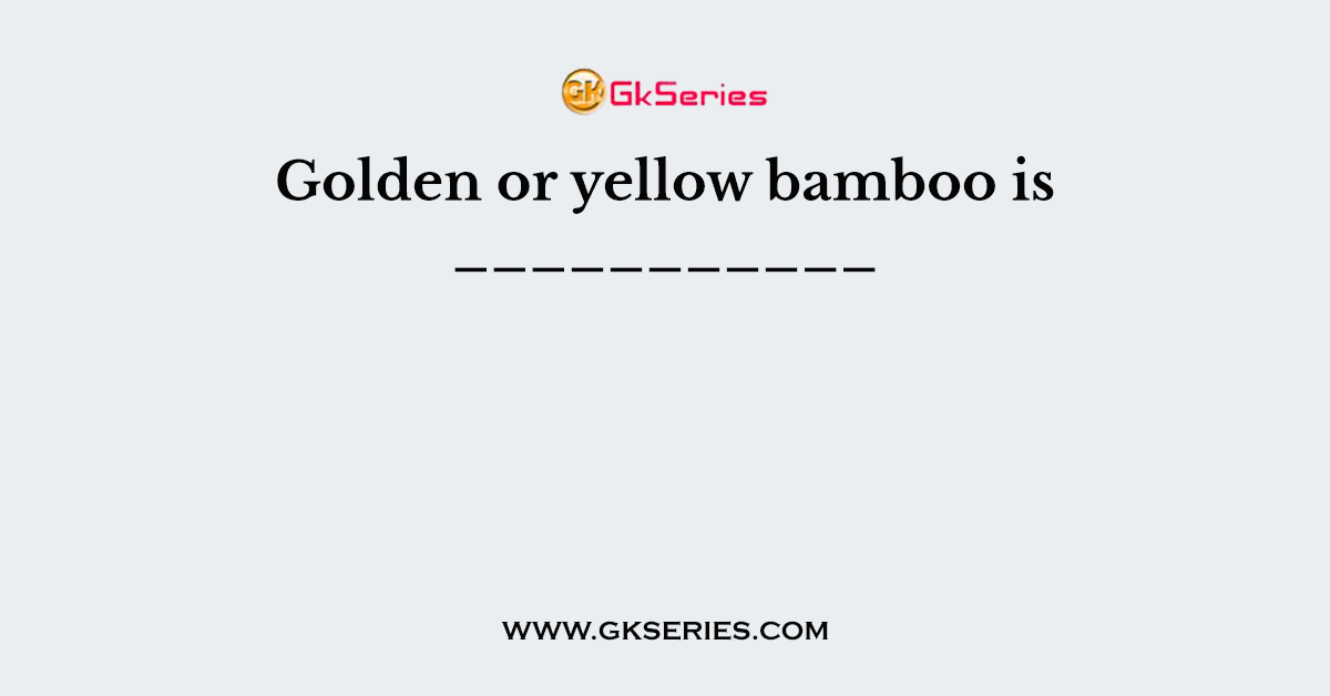 Golden or yellow bamboo is ___________