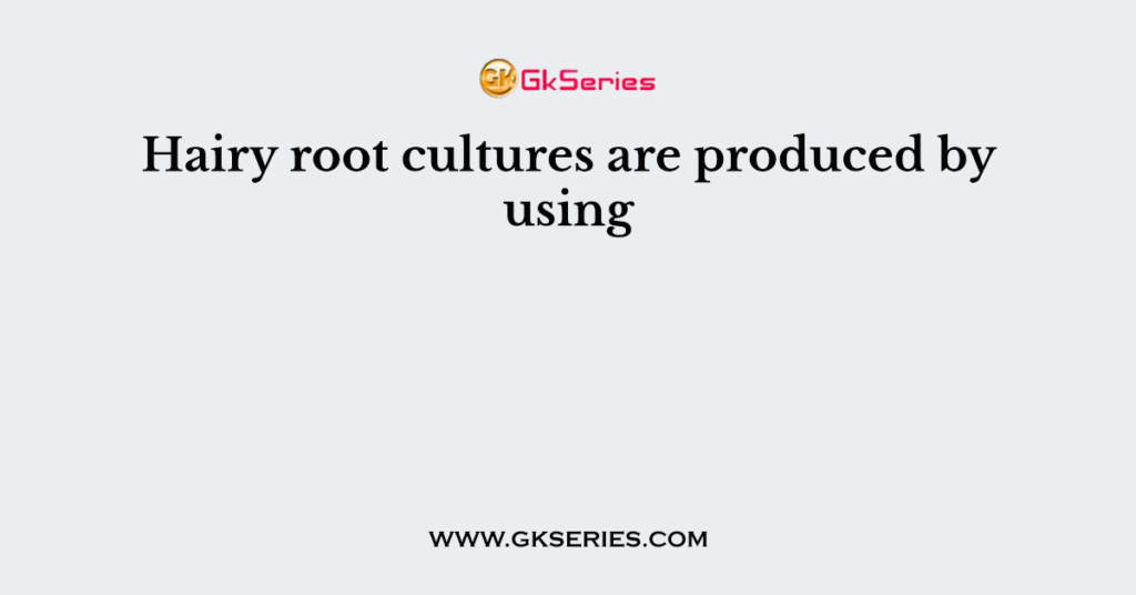 Hairy root cultures are produced by using