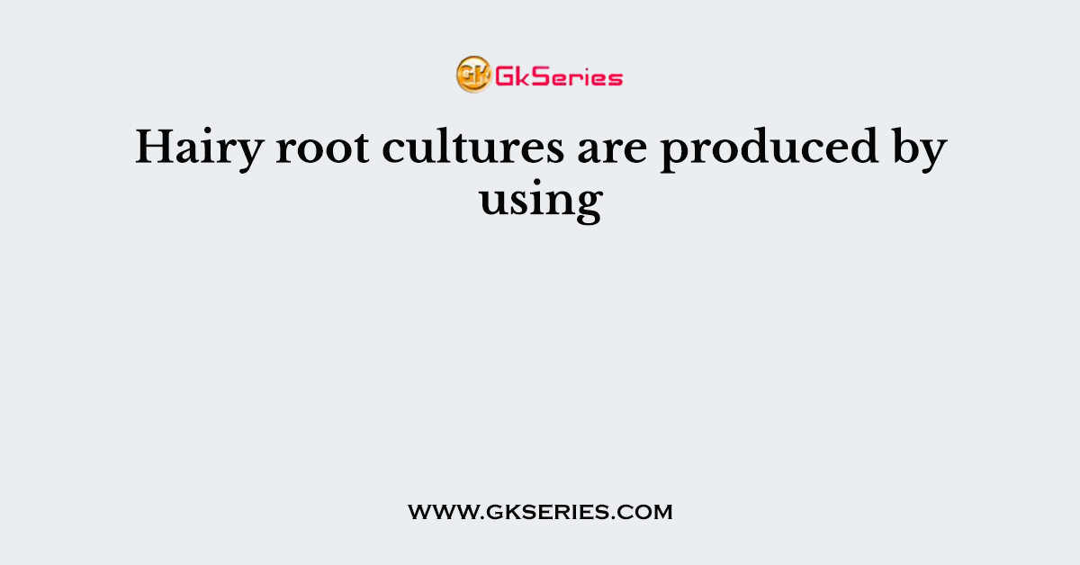 Hairy root cultures are produced by using