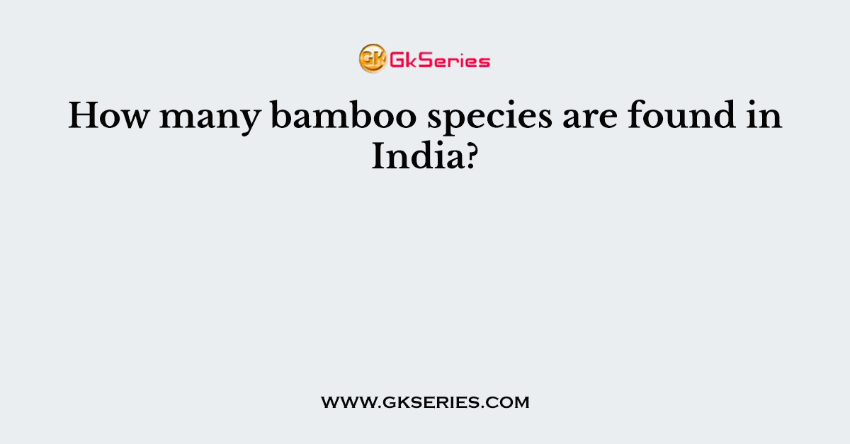 How many bamboo species are found in India?