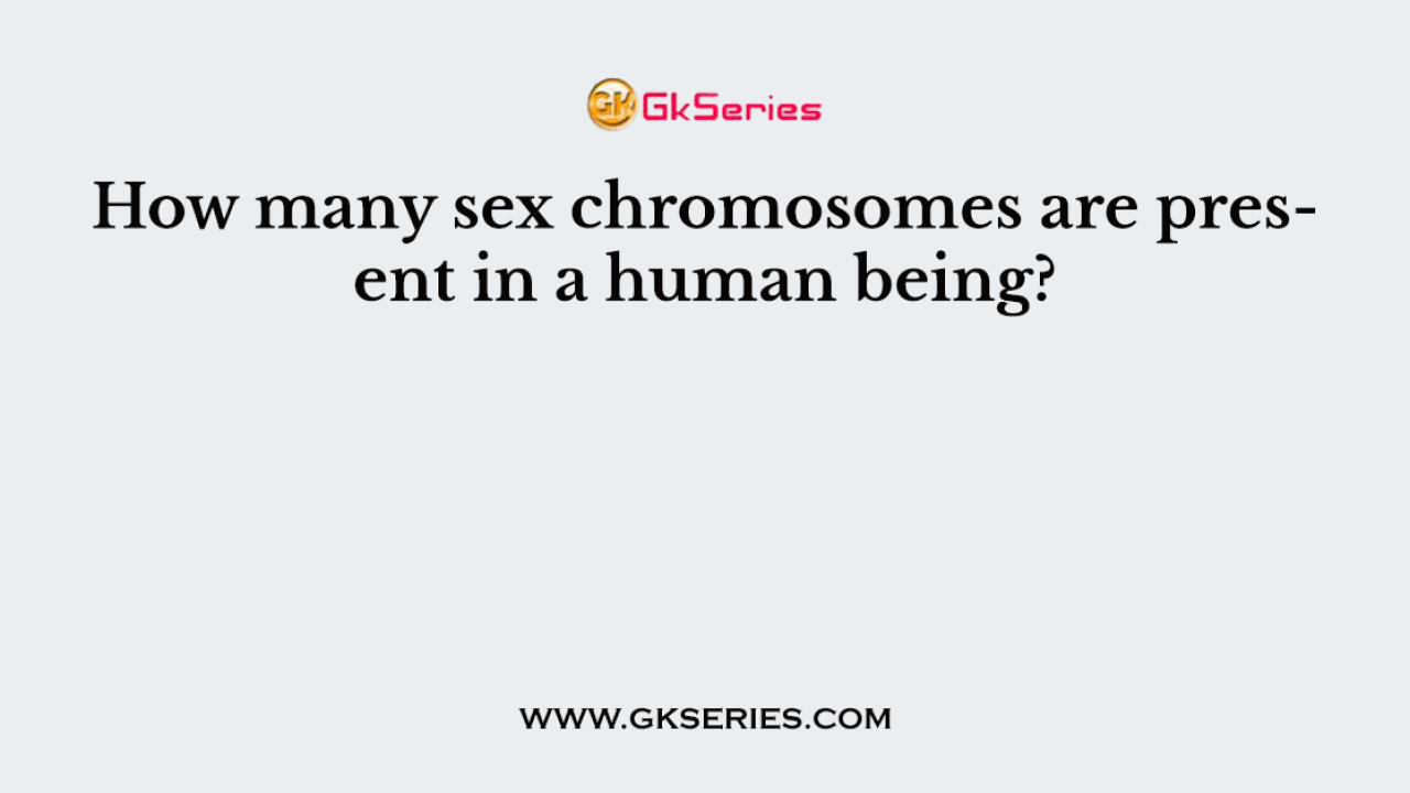 How many sex chromosomes are present in a human being?