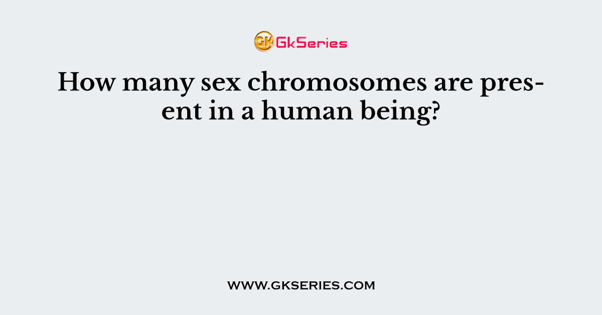 How many sex chromosomes are present in a human being?