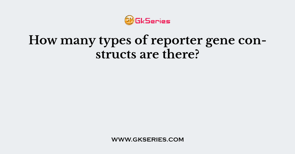 How many types of reporter gene constructs are there?
