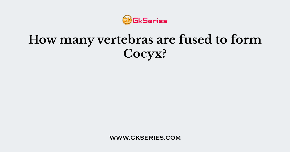 How many vertebras are fused to form Cocyx?