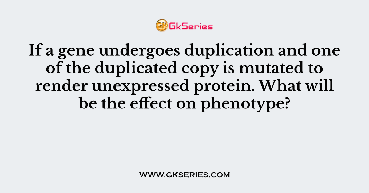 If a gene undergoes duplication and one of the duplicated copy is mutated to render unexpressed protein. What will be the effect on phenotype?