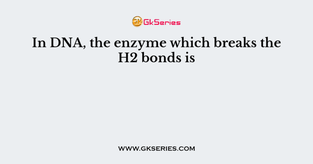 In DNA, the enzyme which breaks the H2 bonds is