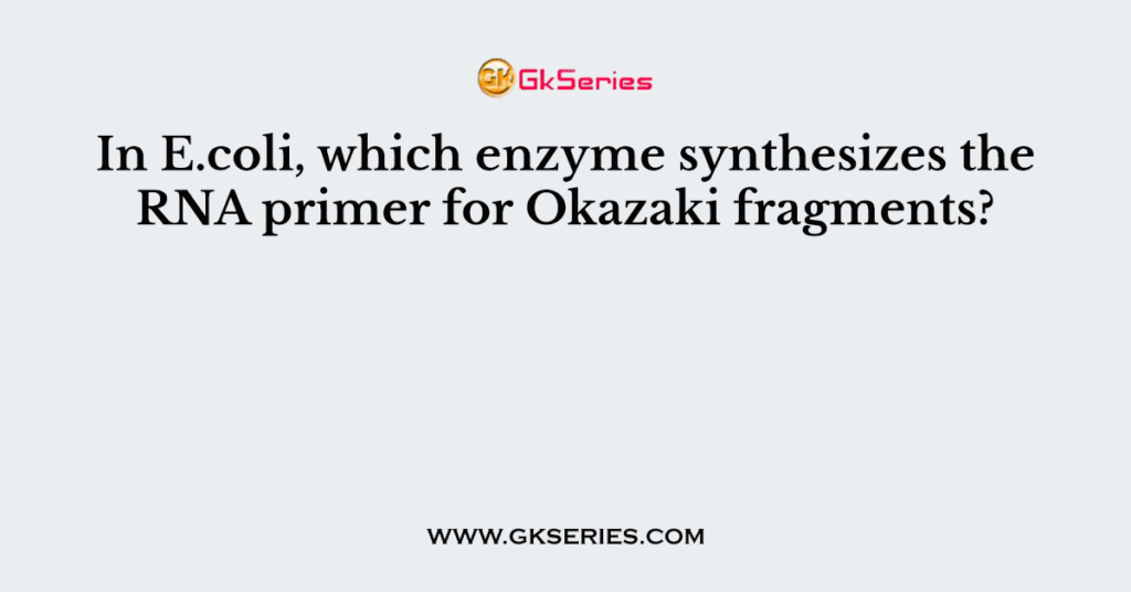 In E.coli, which enzyme synthesizes the RNA primer for Okazaki fragments?