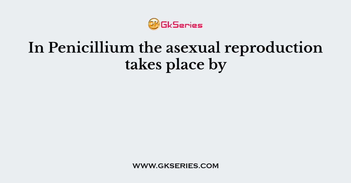 In Penicillium the asexual reproduction takes place by