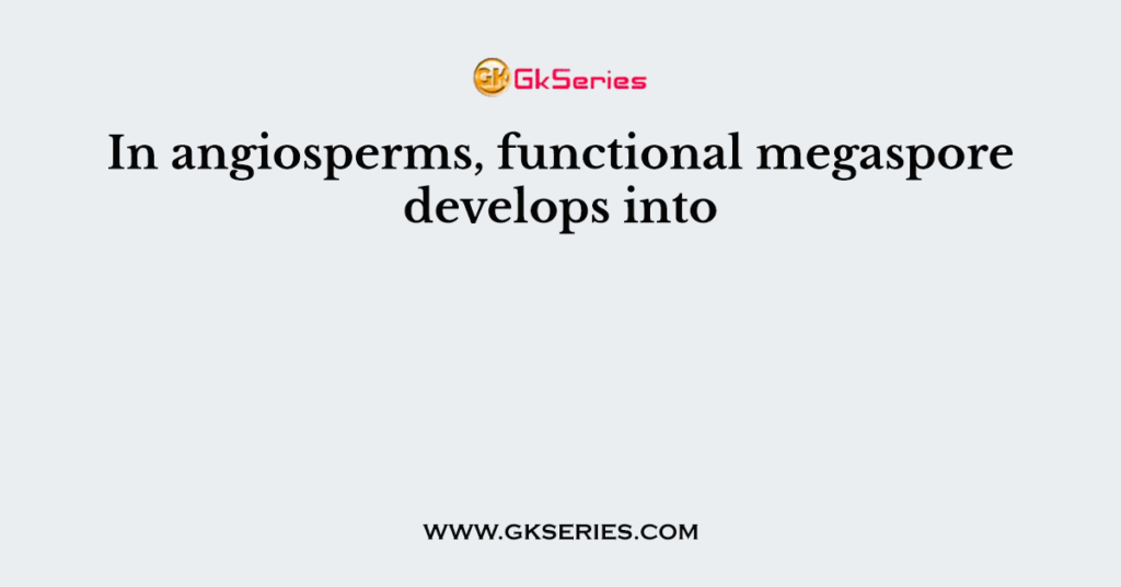 In angiosperms, functional megaspore develops into