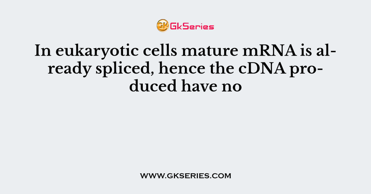 In eukaryotic cells mature mRNA is already spliced, hence the cDNA produced have no