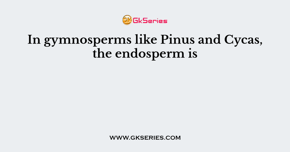 In gymnosperms like Pinus and Cycas, the endosperm is