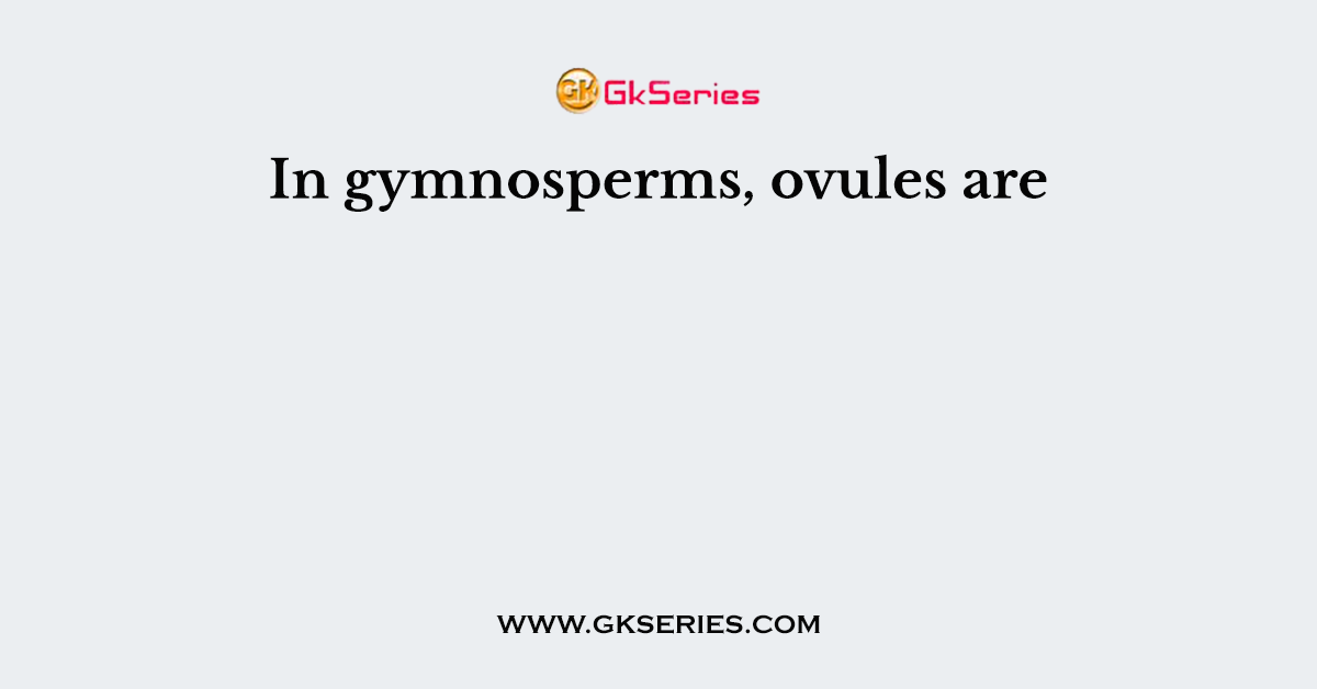 In gymnosperms, ovules are