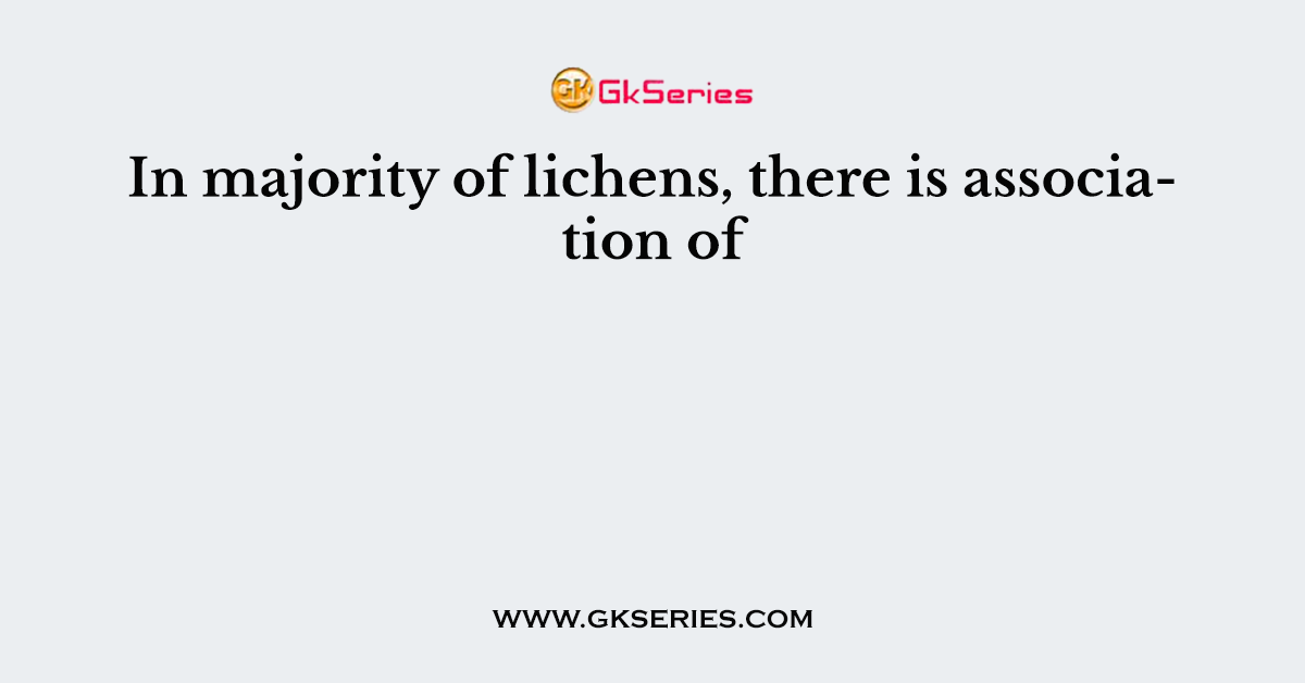 In majority of lichens, there is association of