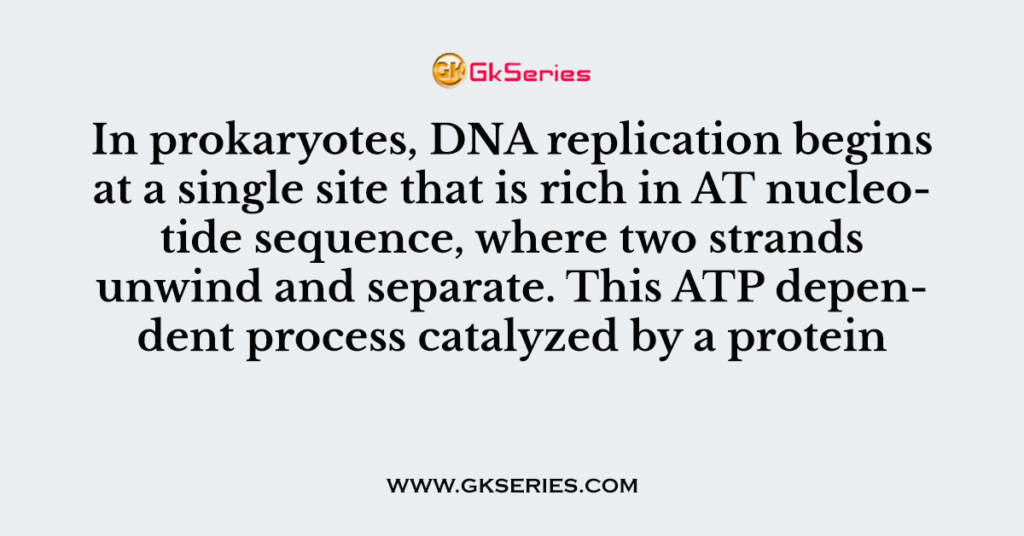 In prokaryotes, DNA replication begins at a single site that is rich in AT nucleotide sequence