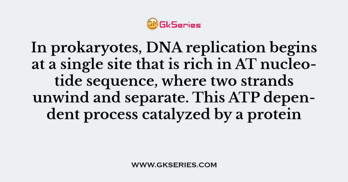 In prokaryotes, DNA replication begins at a single site that is rich in AT nucleotide sequence