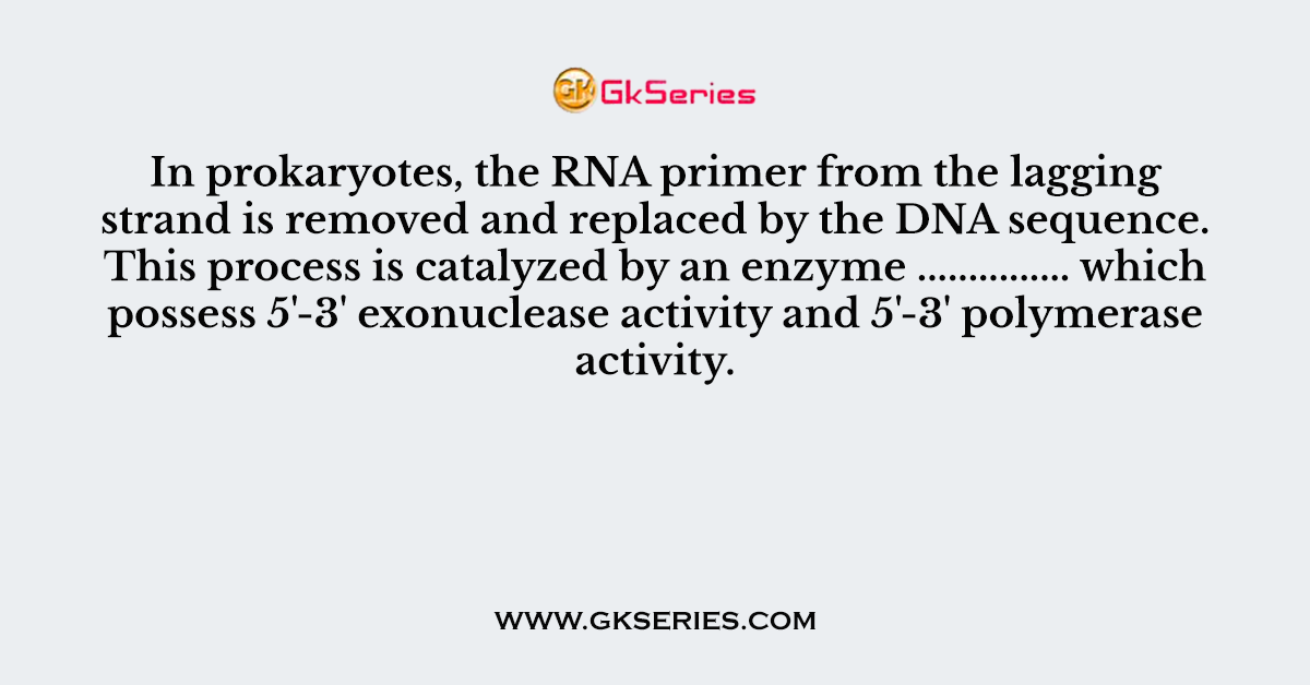 In prokaryotes, the RNA primer from the lagging strand is removed and replaced by the DNA sequence
