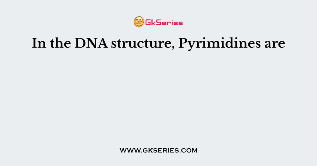 In the DNA structure, Pyrimidines are