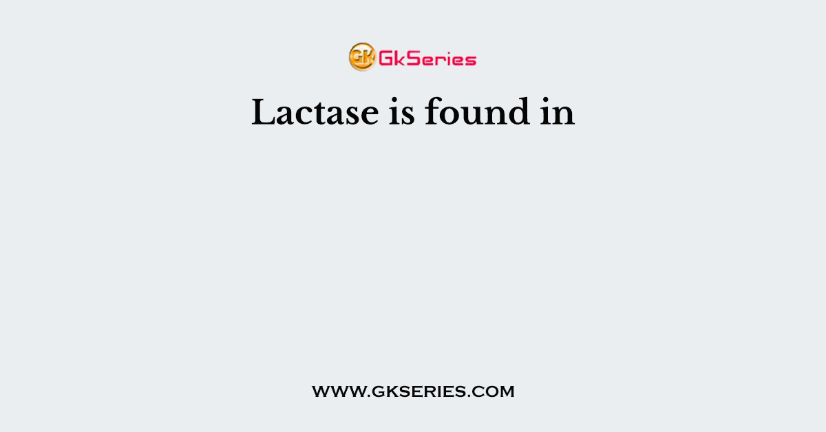 Lactase is found in
