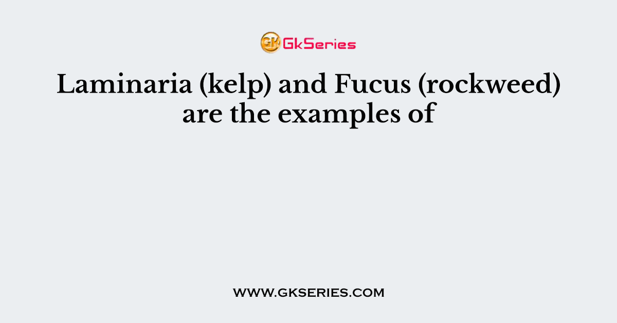 Laminaria (kelp) and Fucus (rockweed) are the examples of