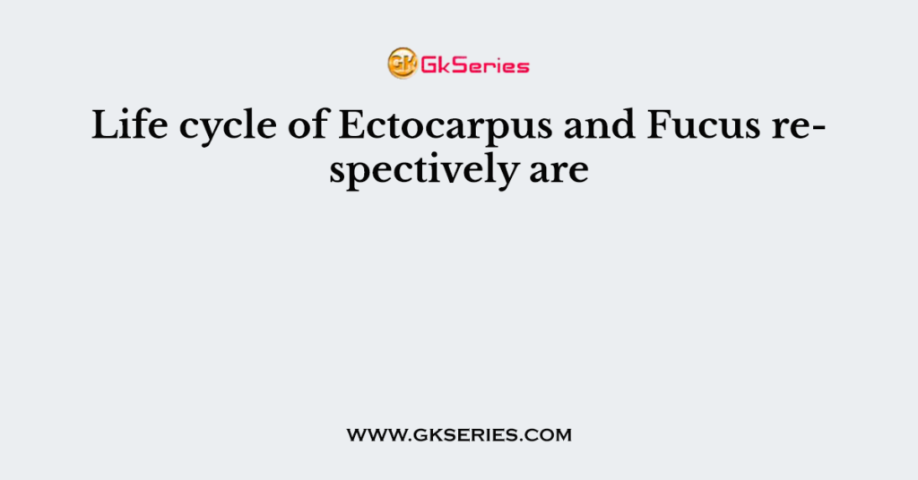 Life cycle of Ectocarpus and Fucus respectively are