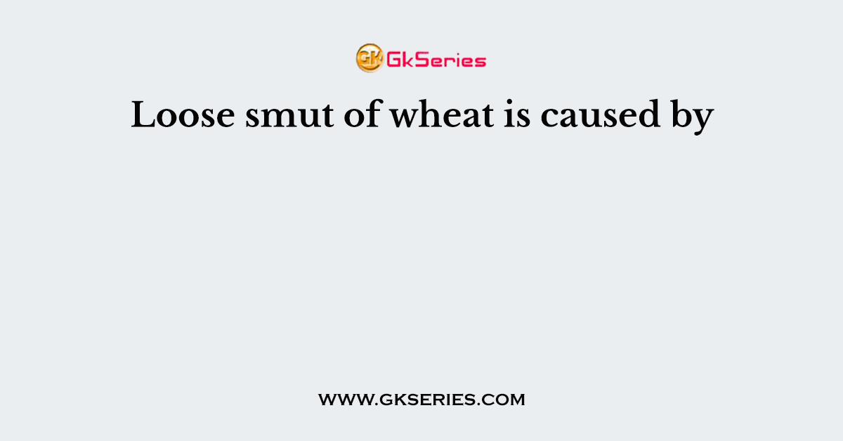 Loose smut of wheat is caused by