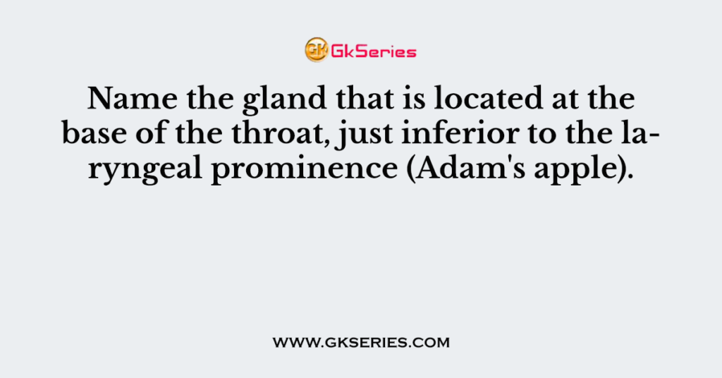 Name the gland that is located at the base of the throat, just inferior to the laryngeal prominence (Adam's apple).