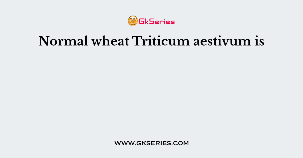 Normal wheat Triticum aestivum is