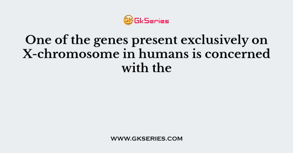 One of the genes present exclusively on X-chromosome in humans is concerned with the